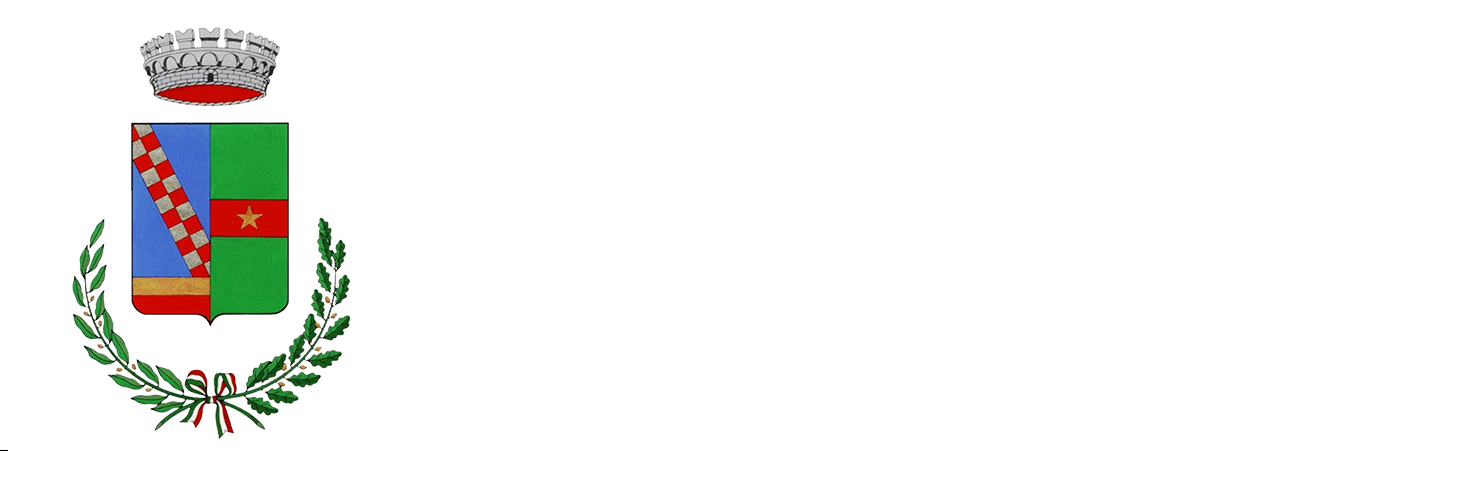 Logo Footer