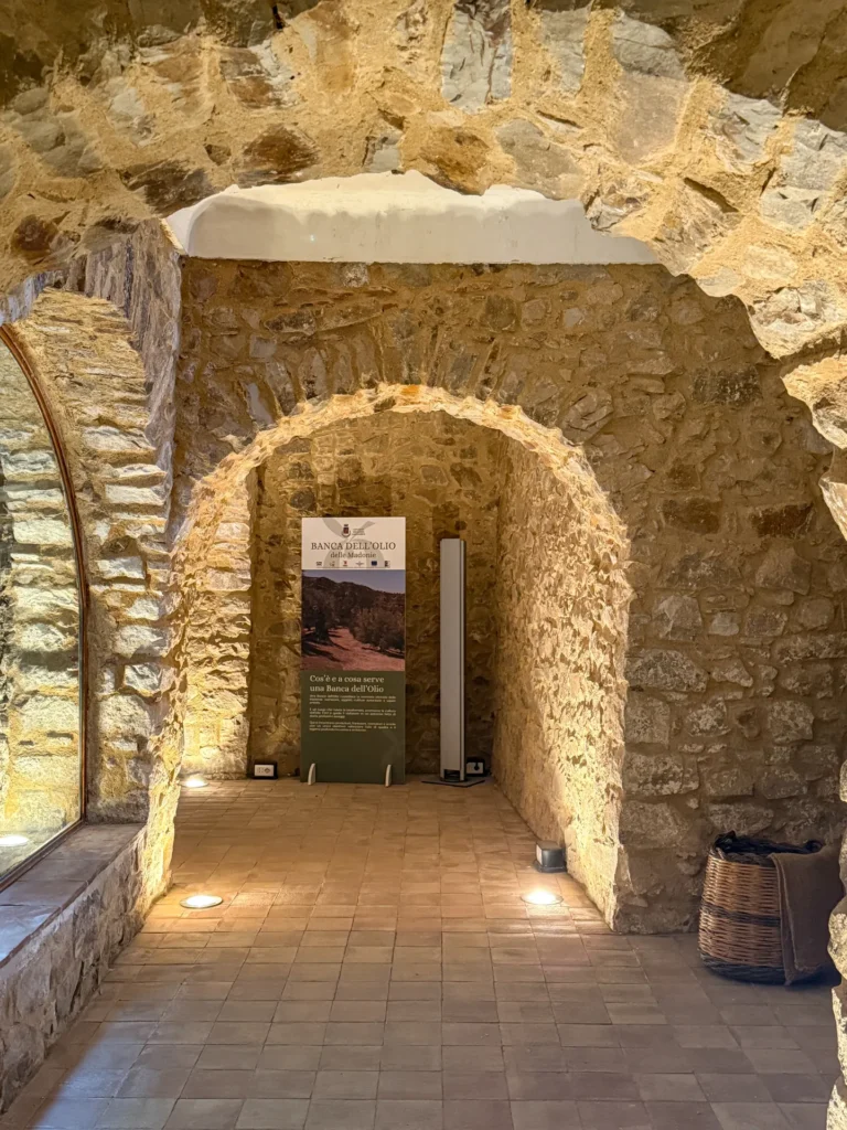 Immagine di listing "Museo “Banca Dell’olio Oasi Delle Identità”": Copia Di Img 7191 Fullres