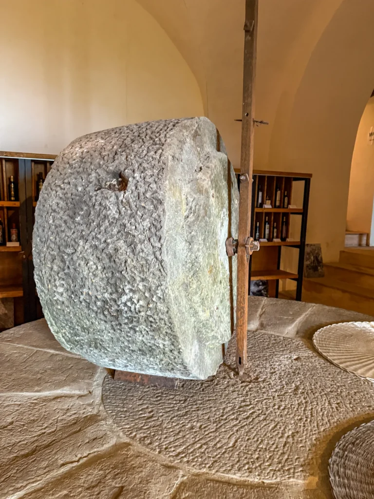 Immagine di listing "Museo “Banca Dell’olio Oasi Delle Identità”": Copia Di Img 7195 Fullres