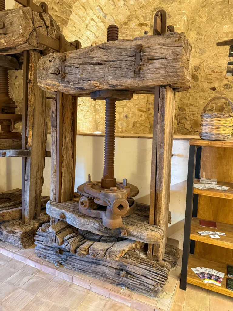 Immagine di listing "Museo “Banca Dell’olio Oasi Delle Identità”": Copia Di Img 7200 Fullres