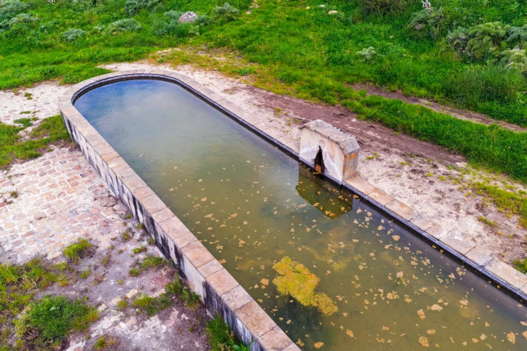 Dji 20260417100408 0230 D Fullres