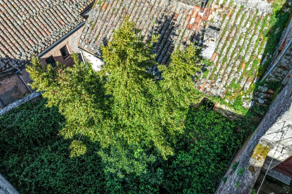 Immagine di listing "L'albero Del Rosario": Dji 20260417153845 0385 D Fullres