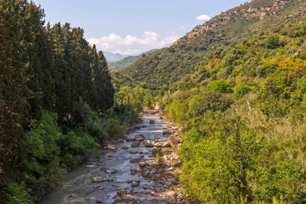 Dji 20260418093226 0577 D Fullres Pagina "Gole Di Tiberio"
