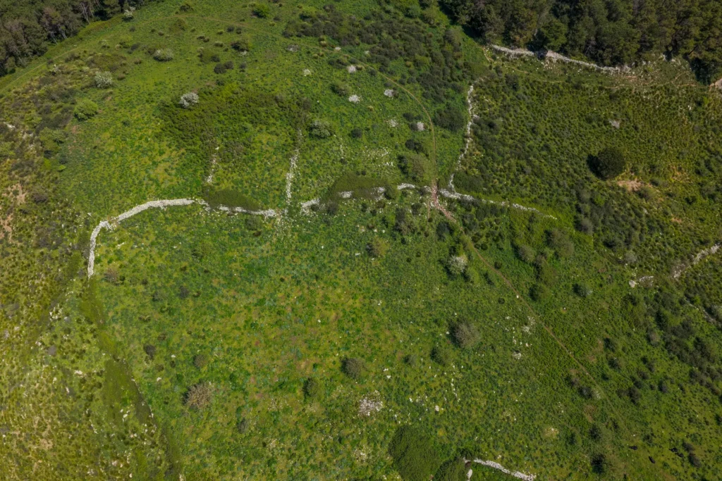 Immagine di listing "Colle Calandra": Dji 20260418110405 0624 D Fullres