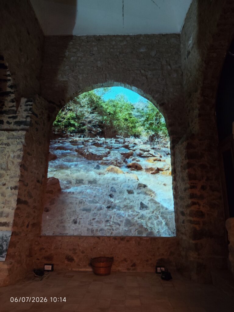 Immagine di Museo “Banca Dell’olio – Oasi Delle Identità”: Img 20260706 101433