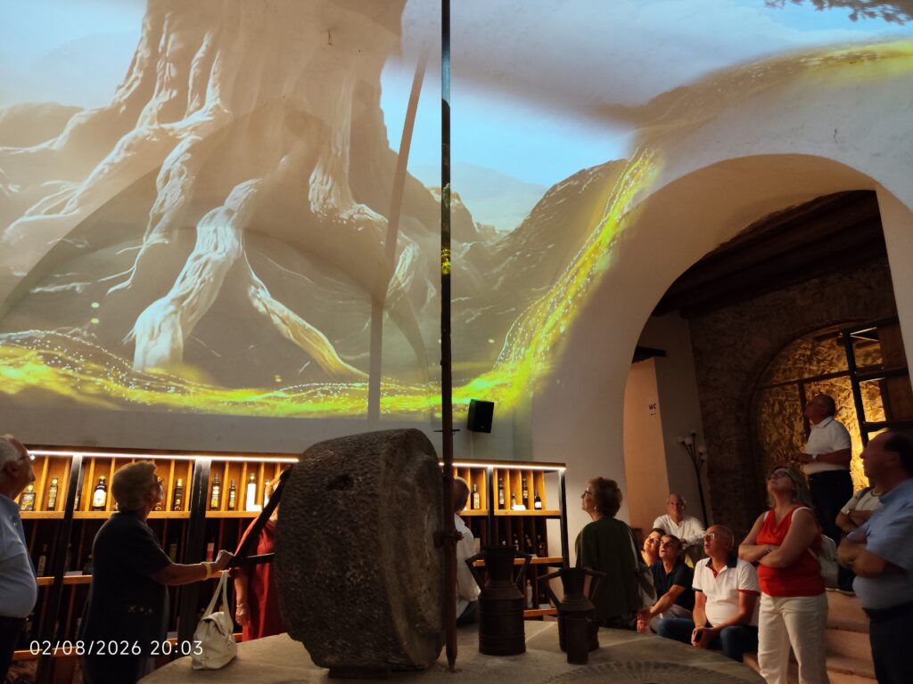 Immagine di Museo “Banca Dell’olio – Oasi Delle Identità”: Img 20260802 200316