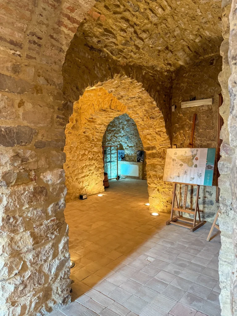 Immagine di listing "La Chiesa Della Madonna Della Catena E Il Monastero Della Badia": Img 7250 Fullres