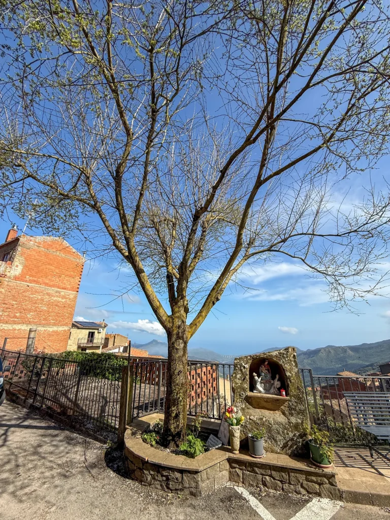 Immagine di listing "La Chiesa Di Maria Santissima Addolorata E Il Convento Dei Cappuccini": Img 7627 Fullres