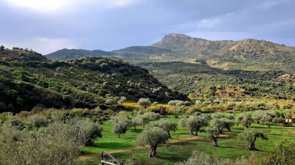 Uli Vagando A San Mauro Castelverde 2 Attività Turistiche